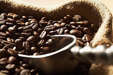 开放世界冒险《Tchia》PC配置公布 3月21日登陆Epic